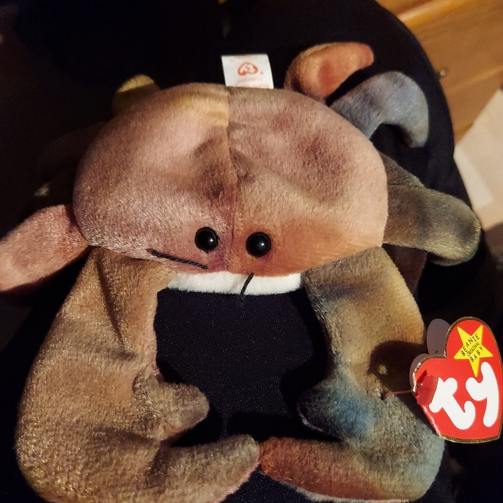 Beanie baby Claude
